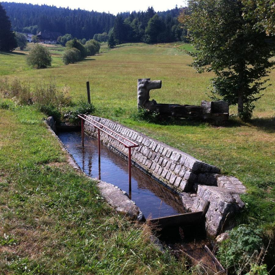 Ferienwohnung Waldblick Todtnau Dış mekan fotoğraf