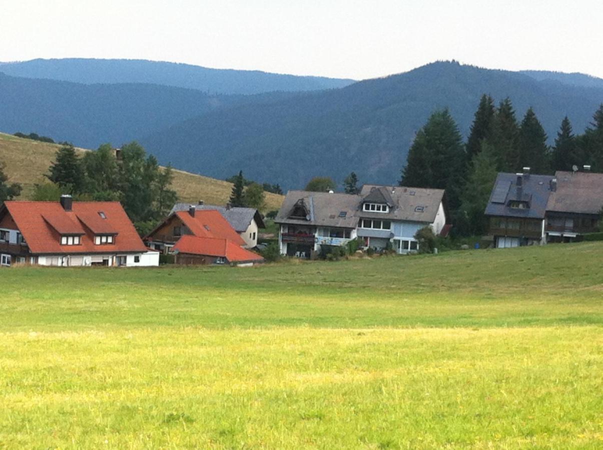 Ferienwohnung Waldblick Todtnau Dış mekan fotoğraf